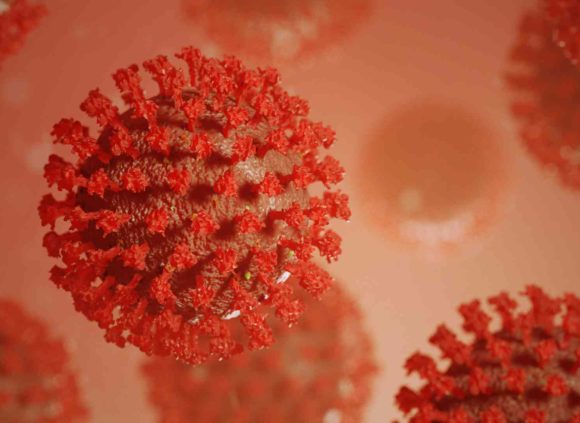 rodo koronawirus
