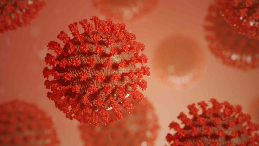 koronawirus_rodo rodo koronawirus