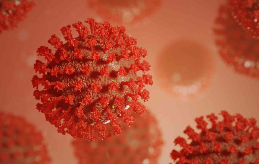 rodo koronawirus